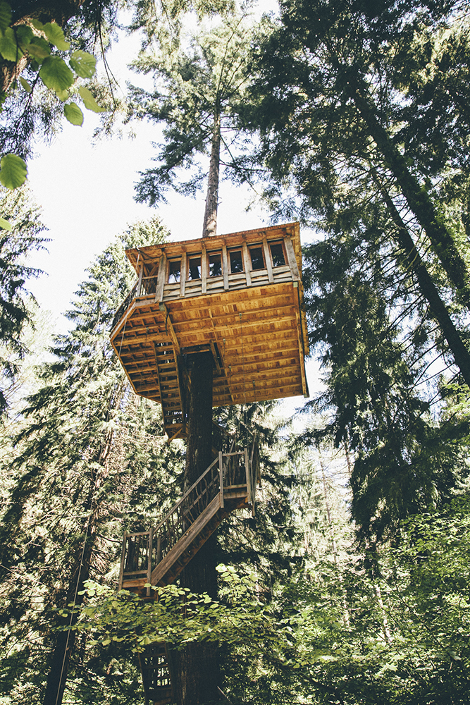 Las 10 cabañas en árboles más altas de España -